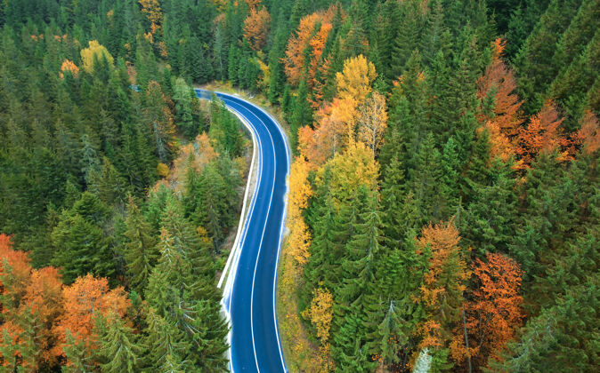 旅行秋天日落时 美丽的绿色森林中的道路鸟瞰图五颜六色的景观从车行道 松树在喀尔巴阡山山沥青速度