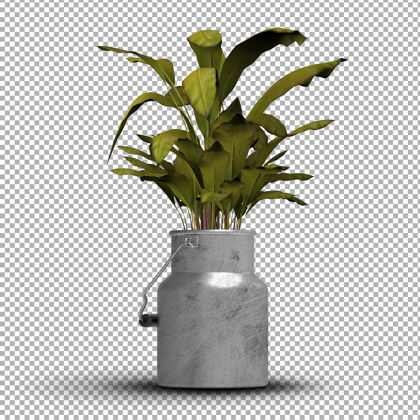 室内植物逼真的孤立盆栽渲染写实植物花盆植物渲染