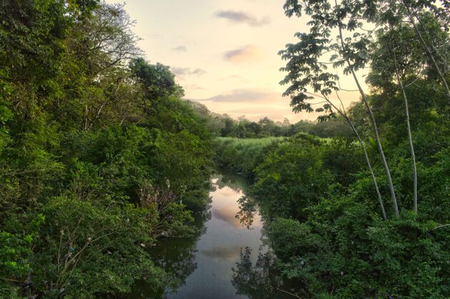 蔬菜日落与自然景观的河流中间的森林和植被在巴拿马景观热带天空