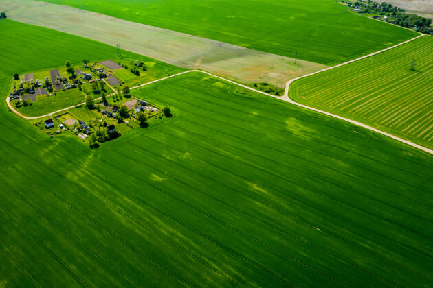 农场白俄罗斯一片播种的绿地和一个小村庄的俯视图西部的农田村庄.春天在一个小村庄播种春天景观色彩