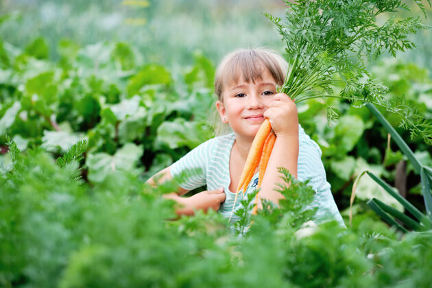 秋季小女孩在厨房里摘胡萝卜花园.秋天蔬菜收获生物杂货生物