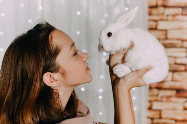 兔子兔子宠物关心友谊儿童和动物人的爱自然高高质量的照片床脸房子
