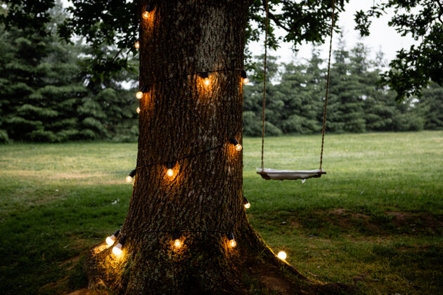 秋千吊绳秋千挂在一棵大树上 灯火通明户外操场学校