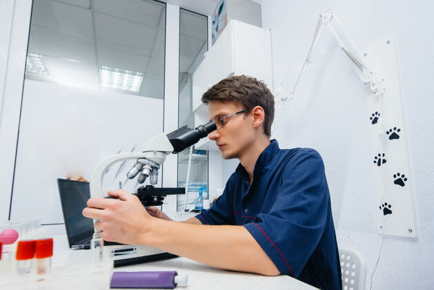 结构实验室里的一位男医生在实验室里研究病毒和细菌显微镜研究危险的病毒和细菌医学学员生物技术