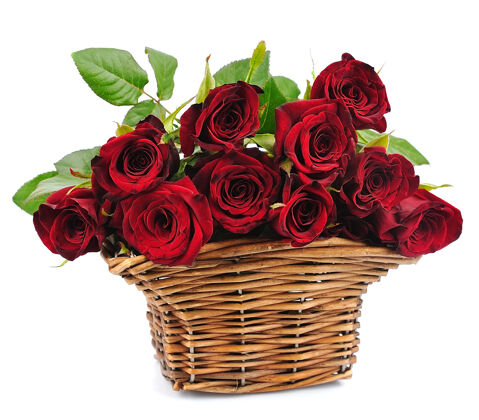自然白色背景上的篮红玫瑰美丽花束美丽