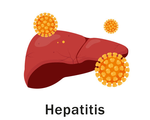 疾病人肝病毒和肝炎病毒在白色上分离医疗感染肝脏
