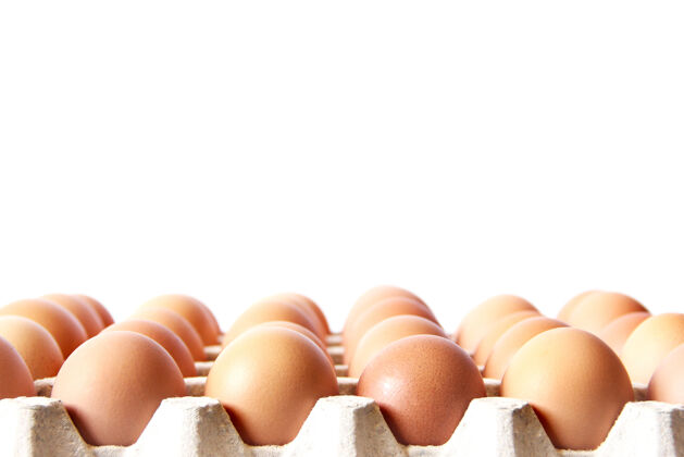 传统托盘装满了鸡蛋鸡蛋在白墙上鲜花鸡蛋季节