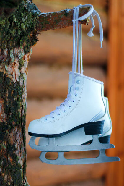 刀片挂在树上的花样滑冰特写分支活动冬天和家人一起过节溜冰训练皮革