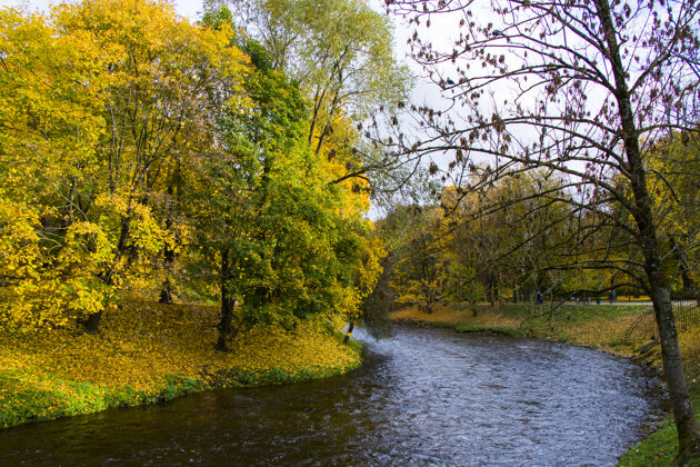 植物学著名的维尔纽斯市中心公园 秋高气爽的树木和树叶多彩水创造
