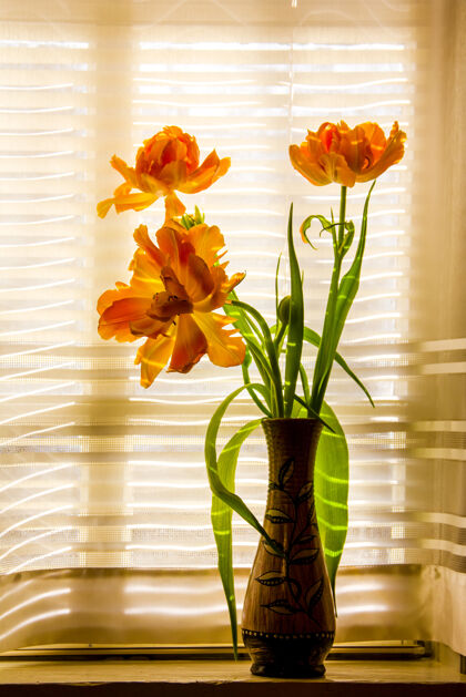 白天窗台上的花瓶里放着一束黄橙色的郁金香 靠在一扇挂着白色窗帘的窗户上盲人新鲜房子