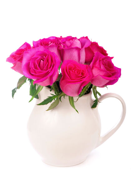花园美丽的粉红色玫瑰在一个白色的背景花瓶庆祝单一新鲜