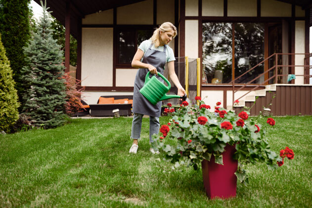 勺子围裙里的女人在花园里浇花花园女园丁照顾植物户外 园艺爱好 花店的生活方式和休闲人软管夏天