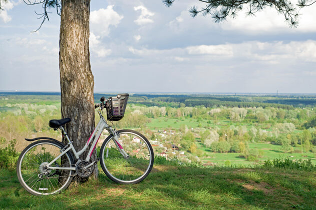 踏板一辆白色的自行车靠在松树树干上 停在森林里的一块空地上户外城市交通
