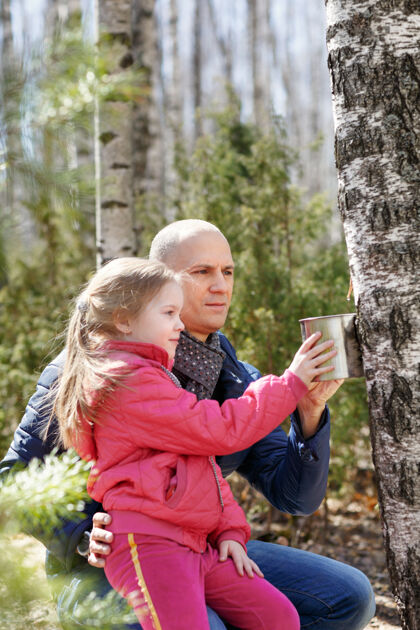 收集爸爸和女儿在树林里收集桦树汁乐趣液体木头