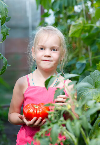 植物学小孩收集蔬菜番茄收获儿童