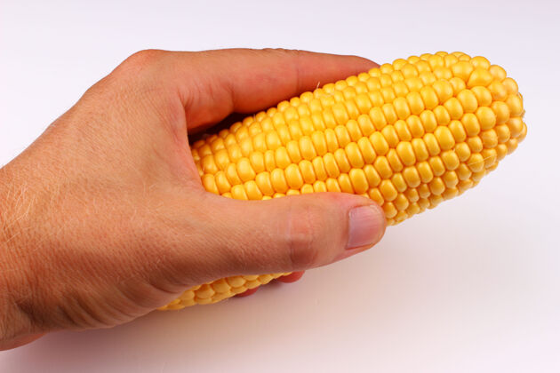 新鲜手拿玉米芯在白色的表面上甜玉米营养谷粒