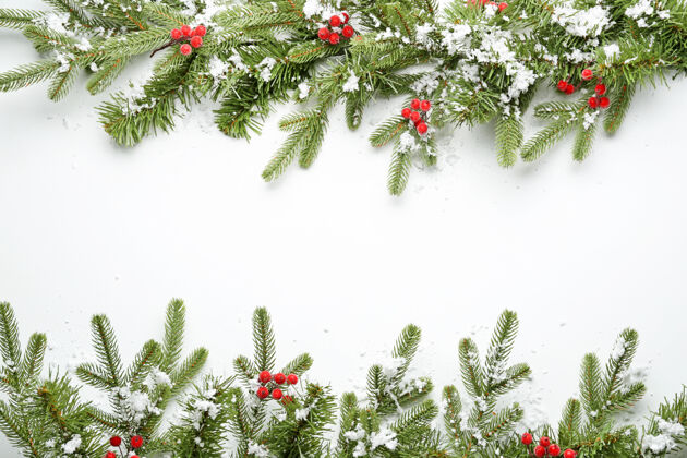 新美丽的圣诞树枝上结着白雪和浆果细枝浆果雪