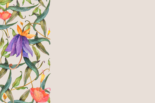 水彩背景與花卉邊框插圖水彩圖形花卉花卉
