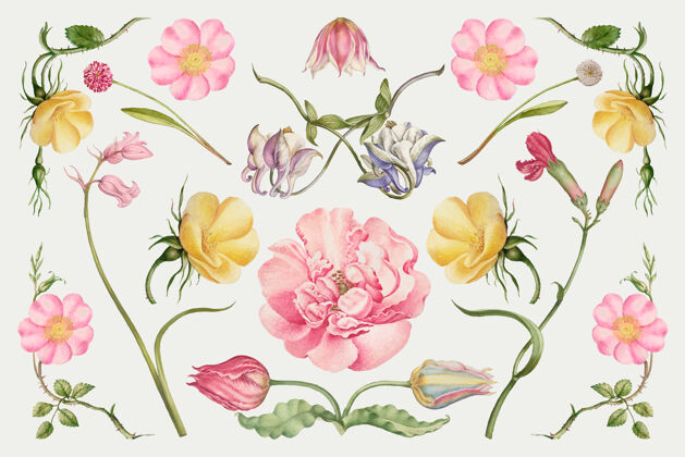 玫瑰复古花朵插画套装花套小组法国玫瑰