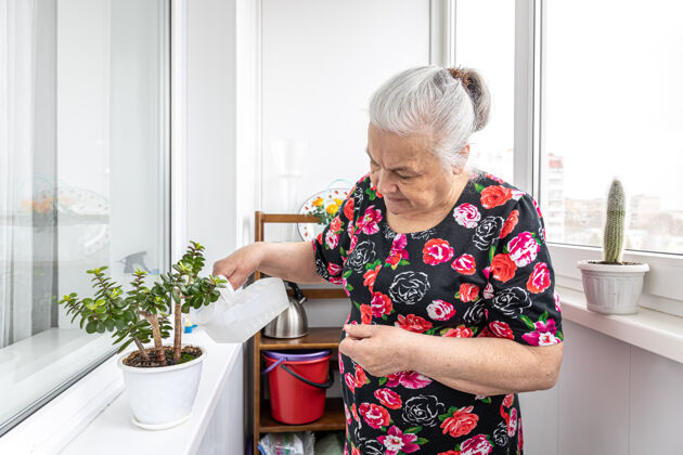 人一个善良的老妇人照料她的室内植物 照料和浇水独自浇水自然