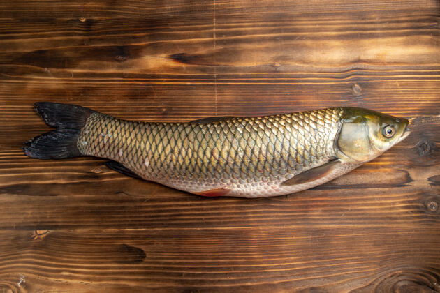 海鲜顶视图新鲜的鱼生产品在木桌上鱼海肉海洋食品海洋肉鱼食品