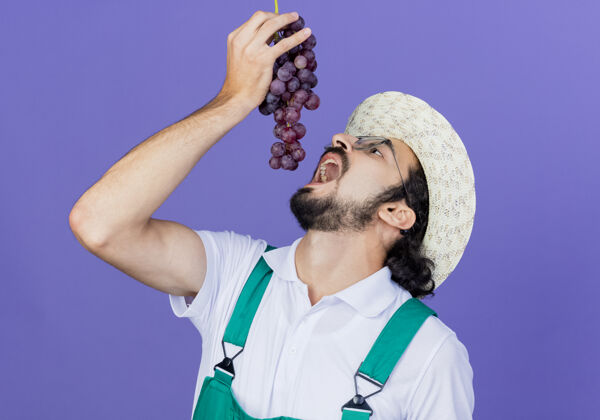 市民年轻的留着胡子的园丁 穿着连体衣 戴着帽子 手里拿着一束葡萄 张着嘴站在蓝色的墙上吃饭连身衣站表情