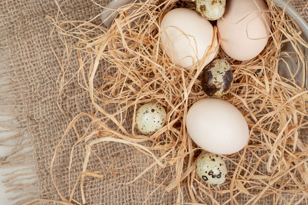 粗麻布麻布上有鹌鹑蛋和干草的鸡蛋干草生的自然