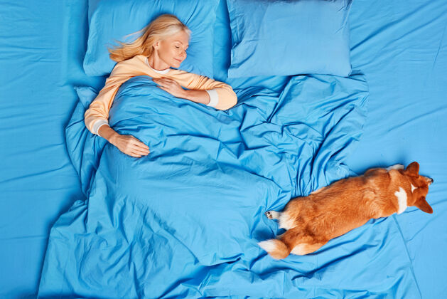 伴侣从上方俯瞰沉稳的中年妇女睡在毛毯下 闭着眼睛在心爱的狗旁边休息 看到甜蜜的梦 享受放松和新鲜的被褥宁静的家庭氛围睡衣景观枕头