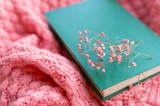 休闲一件粉色温暖的针织毛衣上有干花的绿皮书房子花白天