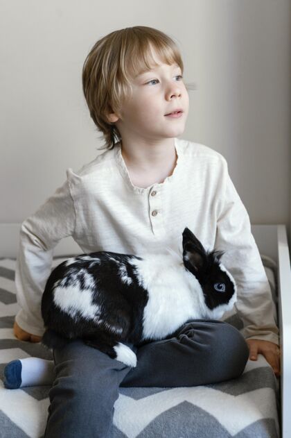 可爱中枪男孩抱着兔子中镜头男孩可爱