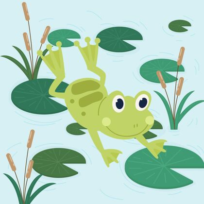 野生动物有机平面可爱青蛙插图动物绿色可爱