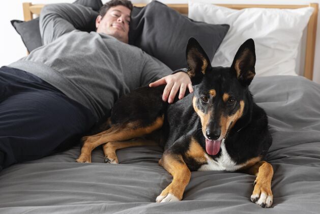 品种中枪男子和狗在床上可爱可爱狗