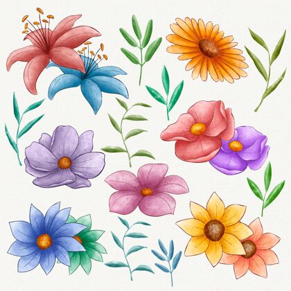花卉手绘漂亮的花套装手绘蔬菜开花