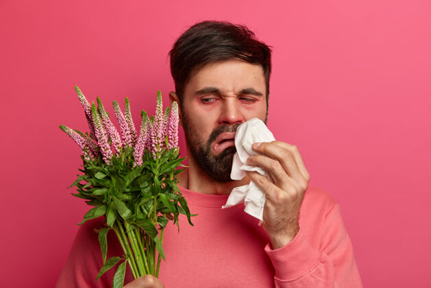 组织心烦意乱的大胡子男人看着引起过敏反应的植物 用手帕揉鼻子 对着粉红色的墙壁摆姿势季节性过敏 症状和疾病概念症状流涕罗西