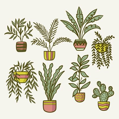 公寓植物手绘室内植物收藏蔬菜自然室内植物收集