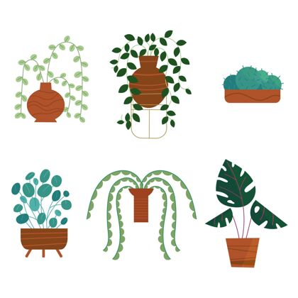 盆栽有机平面室内植物系列分类蔬菜收集