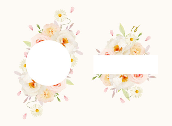牡丹花美丽的花卉框架与水彩粉红玫瑰和白色牡丹玫瑰花植物画框