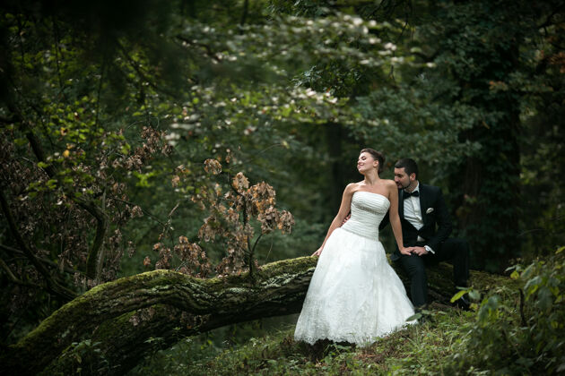 新娘美丽的新婚夫妇坐在一棵倒下的树上的树林里时尚快乐女性