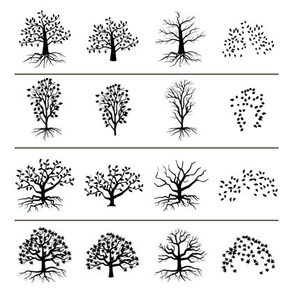 叶树的根 叶和落叶隔离在白色背景上树的轮廓 单色叶插图木树枝植物