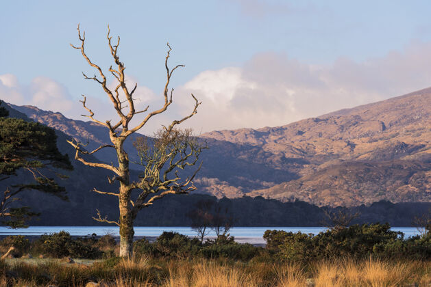 水美丽的拍摄基拉尼国家公园与muckross湖在基拉尼 郡克里 爱尔兰地标旅游石头