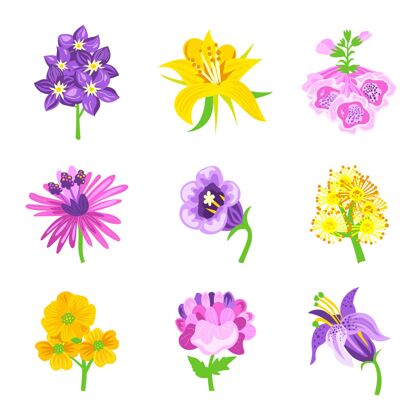 有机平面设计有机平面设计花卉系列花卉平面设计花卉
