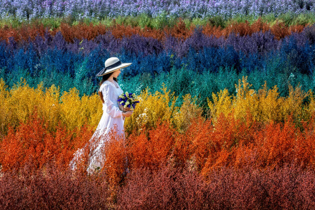 魅力美丽的白衣女孩坐在彩虹花的田野里 清迈女人花瓣人