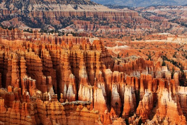 美国美国犹他州奥尔加托纪念碑山谷的砂岩岩层的美丽照片砂岩石头侵蚀