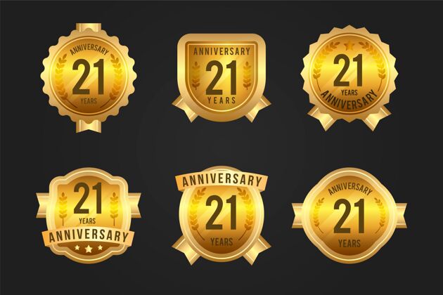 庆祝21周年纪念金徽章系列21周年纪念聚会收藏