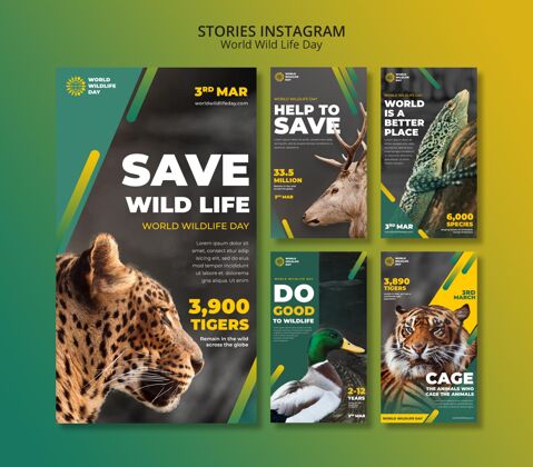 全球世界野生动物日instagram故事模板全球野生动物
