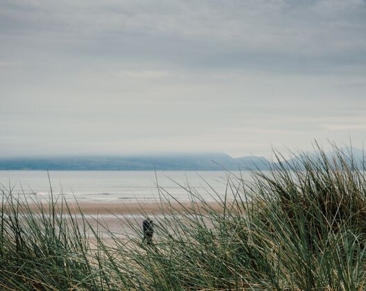 风在一个阴沉的日子 一个男人在海边散步气象浪气候