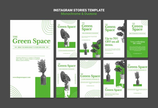 模板绿地社交媒体故事模板叶子Instagram设置
