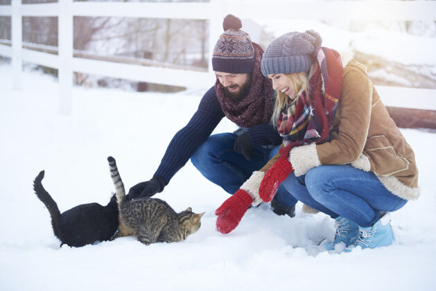 享受猫在冬天需要暖和一下女朋友温暖的衣服动物