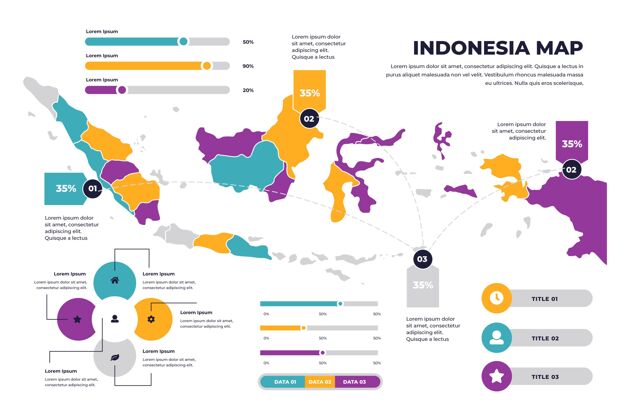 图表线性印尼地图信息图信息选项印度尼西亚