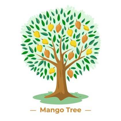 设计平面设计的芒果树芒果芒果树美味